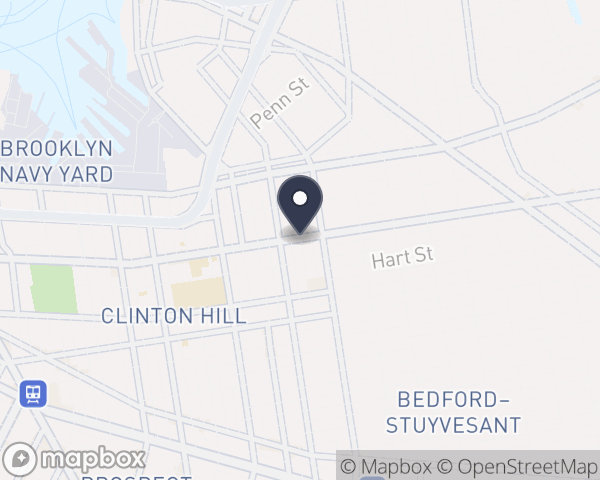 Map location of Bedford/Stuyvesant Alc Trt Center