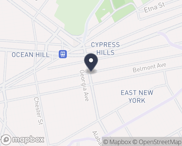 Map location of East NY Diagnostic and